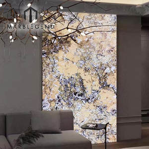 One-Stop-Lösung Luxus Stein hinter leuchtete Platte Brasilien Granit <span class=keywords><strong>Delicatus</strong></span> weißer Granit für Villa Wand - Product Image 5