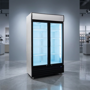 Réfrigérateur commercial à double porte vitrée LF-600 avec contrôle numérique de la température, étagères réglables et dégivrage automatique pour la réfrigération - Product Image 3