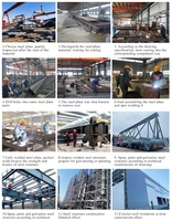 Nave Avícola Moderna con Estructura de Acero de Gran Envergadura, Certificada por la CE, Construcción Prefabricada de Techo Transparente