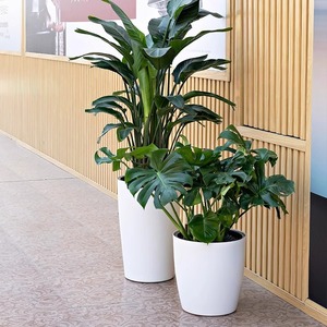 Bán Hàng Trực Tiếp Nhà Sản Xuất Hiện Đại Đơn Giản Lớn Sàn Đứng Nhựa Chậu Hoa Cao Xi Lanh Hình Dạng Tự Tưới Nước Tính Năng Trồng - Product Image 4