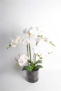 Orchidea Bianca Artificiale in Vaso di Vetro, Composizione Realistica di Phalaenopsis con Supporto per Decorazione da Tavolo per Casa e Ufficio - Product Image 6