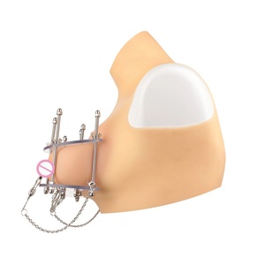 Pinzas para pezones BDSM de acero inoxidable con placa de PC transparente, ajustables, joyería para pezones femeninos, herramientas de placer sin perforación para mujeres - Product Image 6
