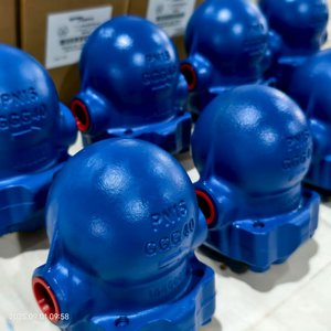 Pièges à flotteurs Spirax Sarco FT14 et FT14HC/FT44. Pièces en fonte ductile pour systèmes de condensation. - Product Image 6