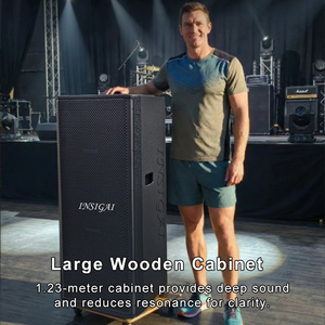 Système de sonorisation DJ complet ODM, enceintes professionnelles, ensemble complet, enceintes actives et passives, double enceintes professionnelles de 15 pouces - Product Image 5