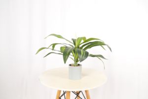 Plantas artificiales pequeño árbol hogar jardín decoración bonsái Faux Dracaena serpiente planta eucalipto árbol con maceta - Product Image 3