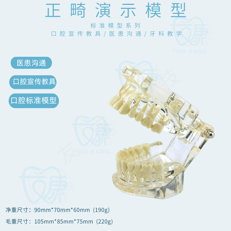 Normal orthodontic model transparent