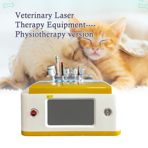 Láser de Diodo de Alta Intensidad de 980nm con Certificación CE para Rehabilitación de Mascotas Caninas y Felinas, Manejo del Dolor, Láser Veterinario Profesional - Product Image 1