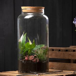 AGG68 Esschert-Design dekoratives halböffnete Flasche mini kleines <span class=keywords><strong>Terrarium</strong></span> Großhandel Versorgung Pflanzen <span class=keywords><strong>Terrarium</strong></span> mit Korkdeckel - Product Image 3