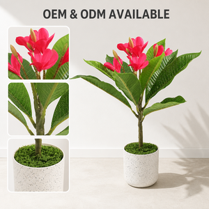 Plantes artificielles de petites fleurs pour la décoration de la maison, de la table et des centres commerciaux - Fleurs artificielles de <span class=keywords><strong>Plumeria</strong></span> rubra JWS4242 - Product Image 6