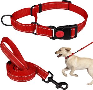 Juego de collares para perros y correas, Collar de martingala reflectante para perros pequeños, medianos y grandes (rojo y S) - Product Image 1