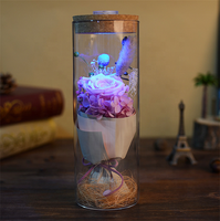 Botol Harapan Ulang Tahun Hari Valentine Festival Kotak Hadiah Mawar Warna-warni Bunga Alami Diawetkan Grosir dengan Lampu Led