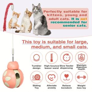 Distributeur automatique de friandises pour chat avec mécanisme à ressort, jouet interactif pour animaux domestiques, puzzle alimentaire pour usage intérieur, en plastique, motif dessin animé - Product Image 6