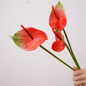 Bunga Anthurium Berkualitas Tinggi Tangkai Tunggal Tekstur Lembut Seperti Gel, Bunga Api, Dekorasi Rumah, Pernikahan, Liburan, Rangkaian Bunga, Perlengkapan Fotografi