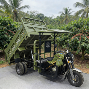 Tricycle Volquete 250cc refroidi par eau, capacité de charge de 2 tonnes avec benne de 1,4x2,2m pour la logistique agricole sud-américaine - Product Image 1