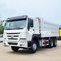 Camions à benne basculante d'occasion diesel robuste 10 roues 371 hp 375 camion à benne basculante Sinotruck Howo 6x4 tout neuf