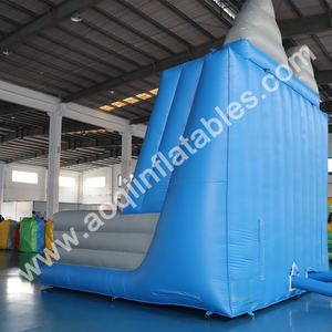 Khổng lồ trang trí ngoài trời tổ chức sự kiện thiết lập đặt hàng số lượng lớn Inflatable leo tường Aq1906-2 - Product Image 4