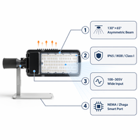 Luz de Calle LED de Alta Calidad para Exteriores, 50w 100w 150w 200w con Lámpara COB, Impermeable IP65