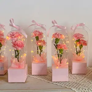 Hot Selling New Creative PVC Transparent Panorama Single Rose Package Lighthouse Hand Illustration Flower Package