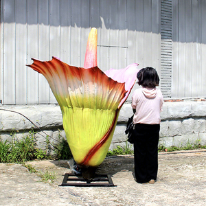 Centre éducatif MY DINO, exposition de fleurs animatroniques, <span class=keywords><strong>robot</strong></span> <span class=keywords><strong>Titan</strong></span> Arum - Product Image 1