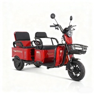 Triciclo Cargador para Uso Agrícola, 800W 1000W, Triciclo de Servicio Pesado de 3 Ruedas para Transporte de Mercancías, Entrega de Última Milla - Product Image 2