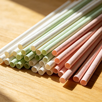 Pailles droites personnalisées en PLA compostable, biodégradables, durables, accessoires de bar jetables, pailles en papier recyclé