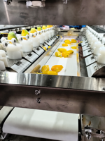 Veelzijdige automatische schilmachine met 8 stations voor de verwerking van mango, aardappel, pompoen, fruit en groenten