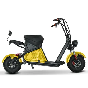 mini chopper 2 wheel citycoco eec electric motorcycle adult mini citycoco 800w 60v 12ah battery scooter electric adult eec