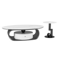 Ensemble de table basse ovale en pierre de roche de style italien moderne pour salon 2024