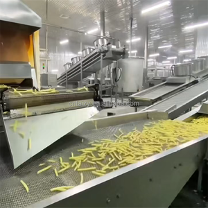 Linea di Produzione Industriale Completamente Automatica per <span class=keywords><strong>Patatine</strong></span> Fritte Surgelate IQF con Friggitrice Integrata - Product Image 5