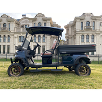 Voiturette de golf utilitaire 2 places couleur personnalisée avec plateau de chargement arrière pour le transport de matériaux en ferme, zoo et parc de loisirs