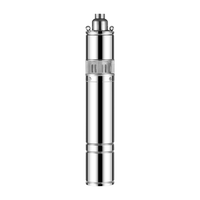 Pompe à eau submersible à vis pour puits profond, en acier inoxydable, basse pression, OEM, pour l'agriculture, marque Shanying