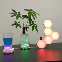 Lumières de jeu Lumière LED de couleur avec télécommande de musique Synchronisation Petite lumière tactile