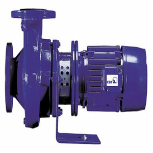 Bomba de Agua Radial de Una Etapa, Acoplamiento Directo, Horizontal, de Acero Inoxidable, Tipo ETB Booster - Product Image 1