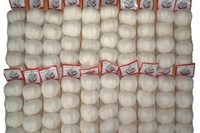 Ail frais de nouvelle récolte de haute qualité, prix abordable, provenant de Chine, ail blanc de qualité supérieure pour la vente en gros