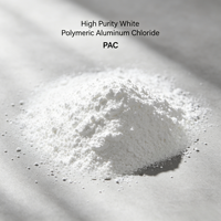 Chlorure de polyaluminium blanc de haute pureté PAC pour le traitement de l'eau