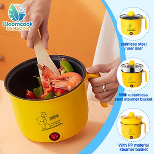 Cuisinière solaire Bloomcook OEM 2025, petite cuisinière commerciale, chauffage rapide, antiadhésive, mini, portable, électrique, gaz, hôtel, camping-car, fondue - Product Image 1