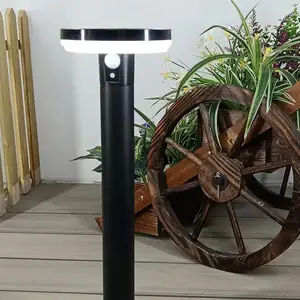 Outdoor Roestvrijstalen Waterdichte Professionele Gazonlamp, Gazonlamp Op Zonne-Energie Voor Thuistuin Buitengebruik