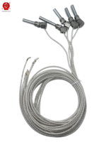 Capteur de température intégré de type cale pour fente de stator, haute tension, pour enroulement de moteur, RTD Pt100 WZPD, Classe A IEC 60751, OEM ODM IP66