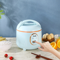 Autocuiseur Électrique Intelligent Multifonctionnel en Plastique à Faible Teneur en Sucre avec Tasse Mesureuse et Cuve Intérieure Antiadhésive – Vente en Gros