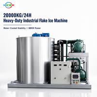 Machines à glace en flocons automatiques en acier inoxydable de qualité supérieure 20000 kg pour le marché de gros aquatique efficace et de grande capacité