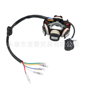 Bobina de Estator de Magneto de 6 Polos para Motocicleta, Piezas para Vehículos Todoterreno, Bobina de Magneto de Cabeza Suelta C110-6, Relé para Sistemas Eléctricos - Product Image 2