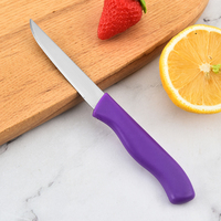 Groothandel Fruit Mes Candy Kleine Keuken Roestvrij Staal Plantaardige Mes Mes Set Keuken Accessoires