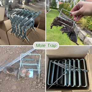Trampa para Topos Galvanizada Profesional 2026, Trampa para Matar Topos de Metal con Resorte de Alta Resistencia para Control de Plagas en Jardín y Césped - Product Image 4