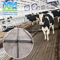 Système de ramassage automatique de fumier à chaînes Dairy Barn Alley Scraper pour l'élevage bovin et la gestion des déchets dans les bâtiments laitiers