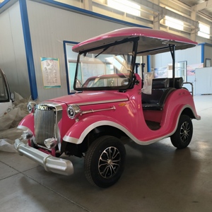 Véhicule de tourisme électrique vintage classique à vendre : 80-100 km d'autonomie, 6-14 places, <span class=keywords><strong>alternateur</strong></span> 4000W - Product Image 3