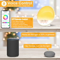 Intelligenter Wecker mit Sonnenaufgangslicht, WLAN, USB, Plastik-Nachttischlampe, Naturgeräusche, Schlummerfunktion, UKW-Radio, OEM ODM Anpassbar
