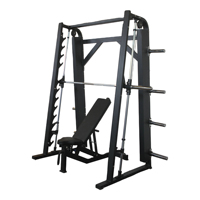 Équipement de fitness multifonctionnel Smith Gantry Liva LW-1036 en acier au carbone pour salle de sport commerciale, avec barres de dips et rack à barres, garantie 1 an