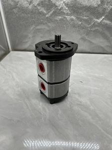Pompe à huile PLM PLP PLP30 PLP20 PLP10 PLM20 PLD Pompe à engrenages hydraulique haute pression PLP20.20/20.20 D-FS-EL C66610543 - Product Image 5