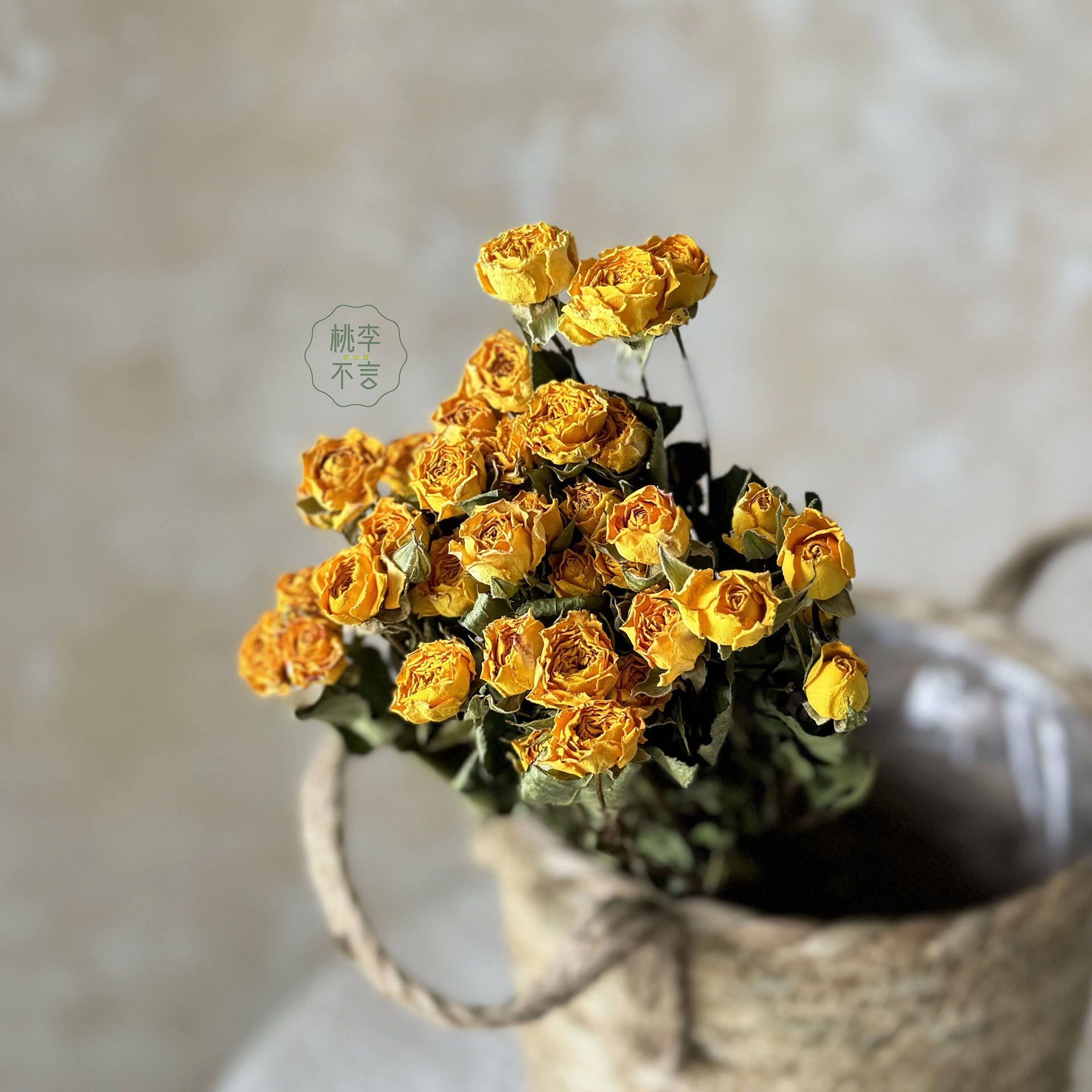 หัวดอกไม้บาร์บี้แฟนตาซี30ดอกเส้นผ่าศูนย์กลางประมาณ1-2ซม.