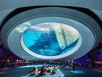Haute Performance personnalisé sphérique tout diamètre P2 intérieur extérieur boule LED écran d'affichage Led vidéo panneau mural 0.6m 1m 1.2m 1.5m